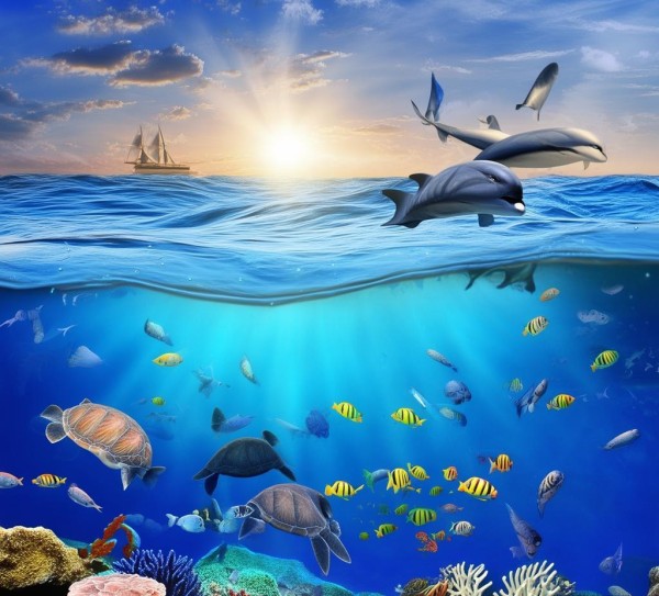 金盛海洋科技,创新驱动引领海洋经济发展新引擎